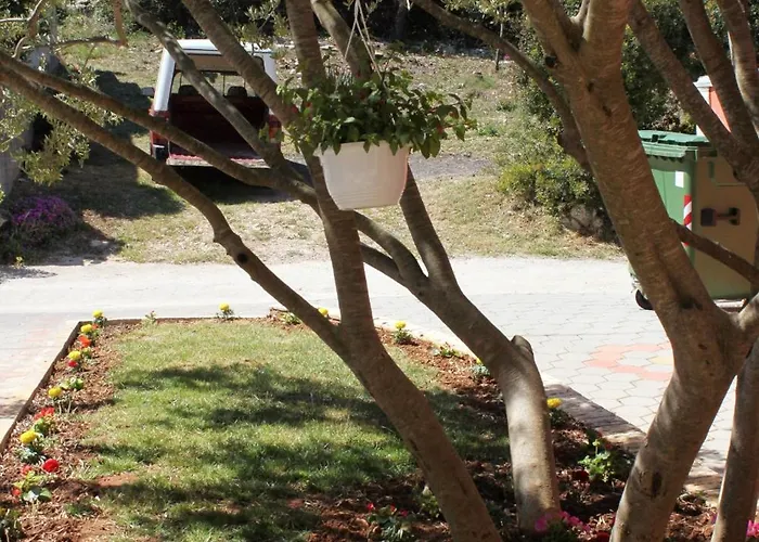 Apartmán 6215c Tkon